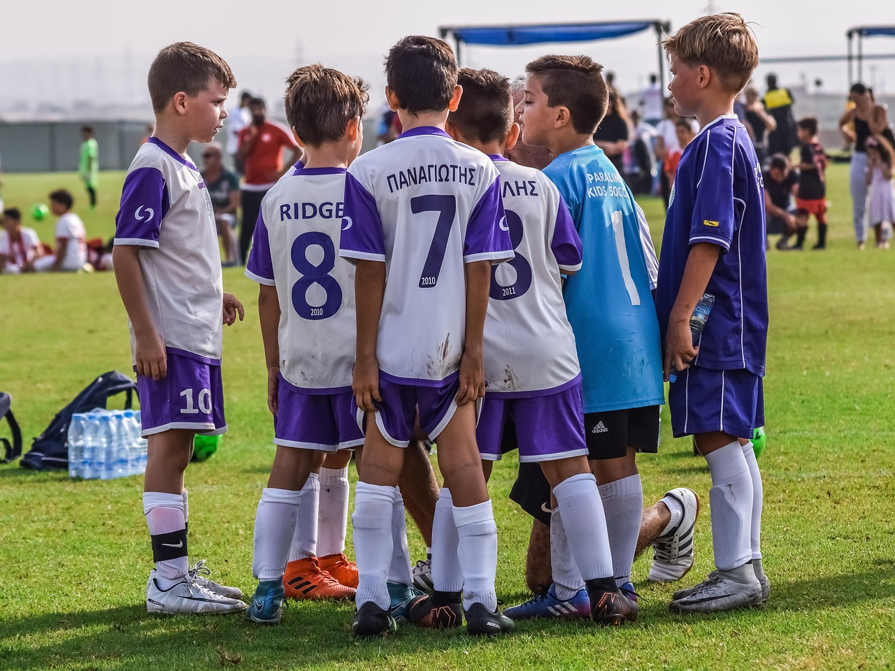 ZEST星空侧推芒果爆珠：防疫管理app详情下载教程